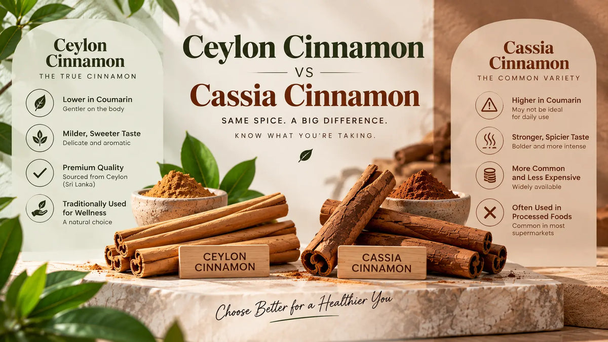 Ceylon cinnamon sticks compared with darker Cassia cinnamon sticks